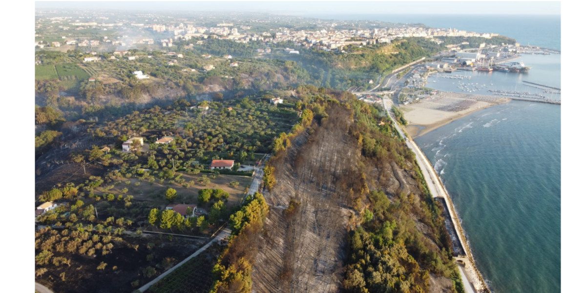 incendio-01-08-2021-Ortona.jpg